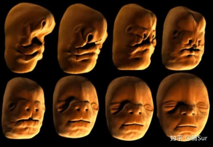 生物科普趣味小知识300字,有哪些有趣的科普类、生活类小知识或冷知识?