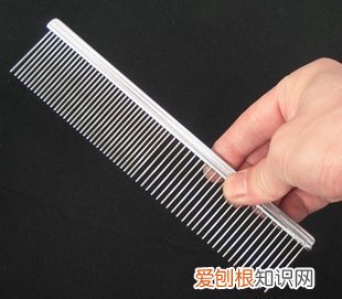 养宠物的烦恼,养宠物有时候感觉好累,可以分享一些智慧“偷懒”的小妙招吗?