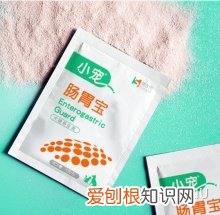新手养猫教程视频,萌猫日记——新手养猫小经验