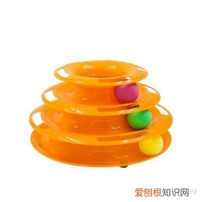新手养猫教程视频,萌猫日记——新手养猫小经验