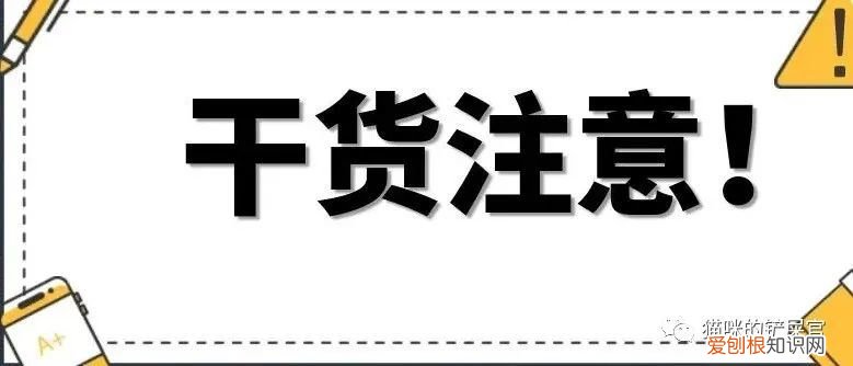 好养省钱的宠物,养宠物省钱小技巧