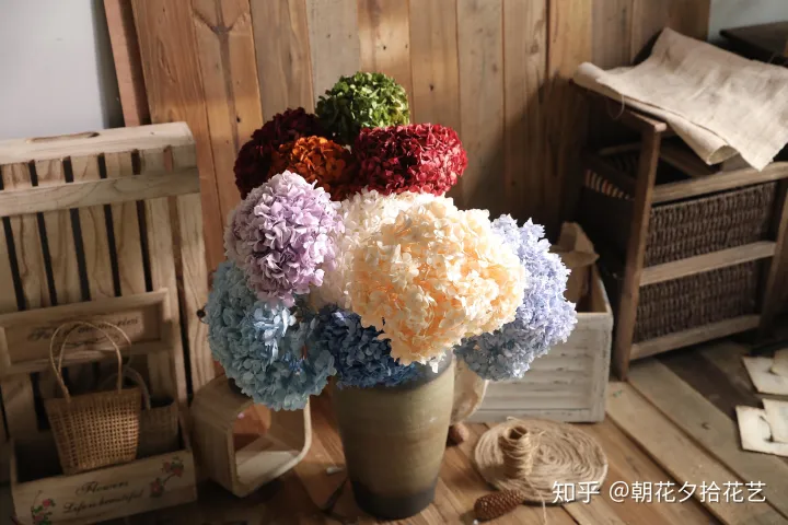 日常生活鲜花养护小知识图片，日常生活鲜花养护小知识
