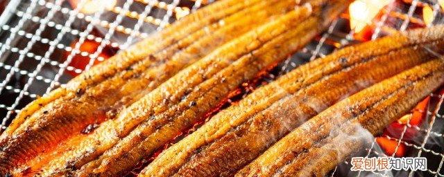 男士吃什么食物补精子