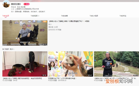 新手养宠物狗教程视频，新手养狗指南，小狗到家要注意哪些？西瓜视频漂狗邦之漂泊告诉你
