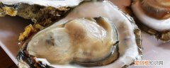 男人补肾壮阳吃啥食物 男人吃什么食物壮阳补精