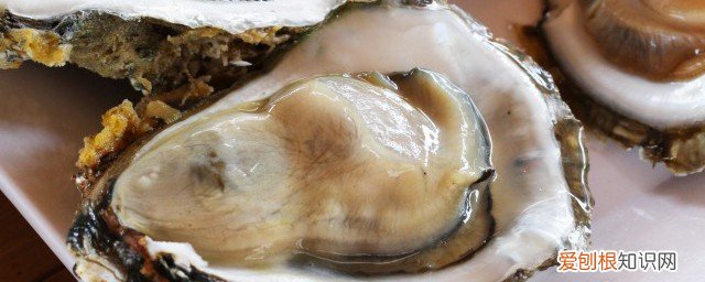 男人补肾壮阳吃啥食物 男人吃什么食物壮阳补精