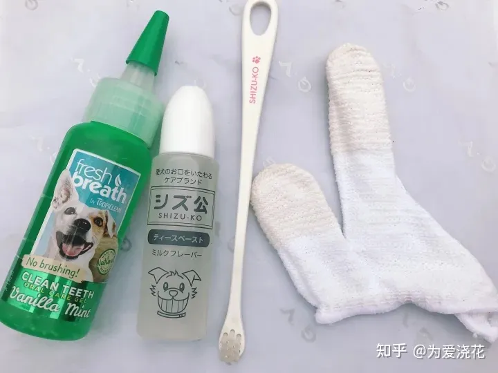 怎么保持狗狗的清洁，宠物怎样做日常清洁 爱宠日常清理小知识