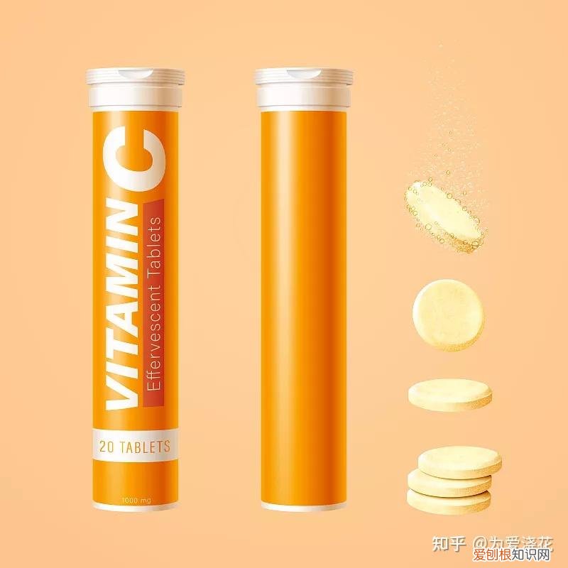 怎么保持狗狗的清洁，宠物怎样做日常清洁 爱宠日常清理小知识