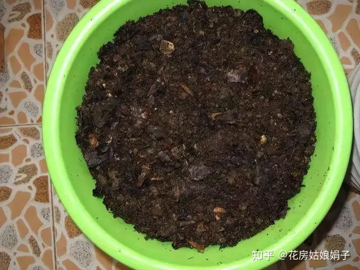 松果是什么树长出来的,路边捡到的松果、树皮等,是绝佳的“养花宝贝”,用对方法是关键