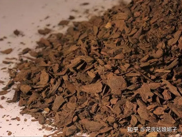 松果是什么树长出来的,路边捡到的松果、树皮等,是绝佳的“养花宝贝”,用对方法是关键