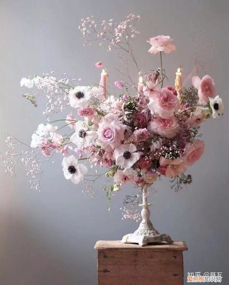 小白买花实操指南 白菜花是蔬菜吗，像买白菜一样买花，像养猪一样养花