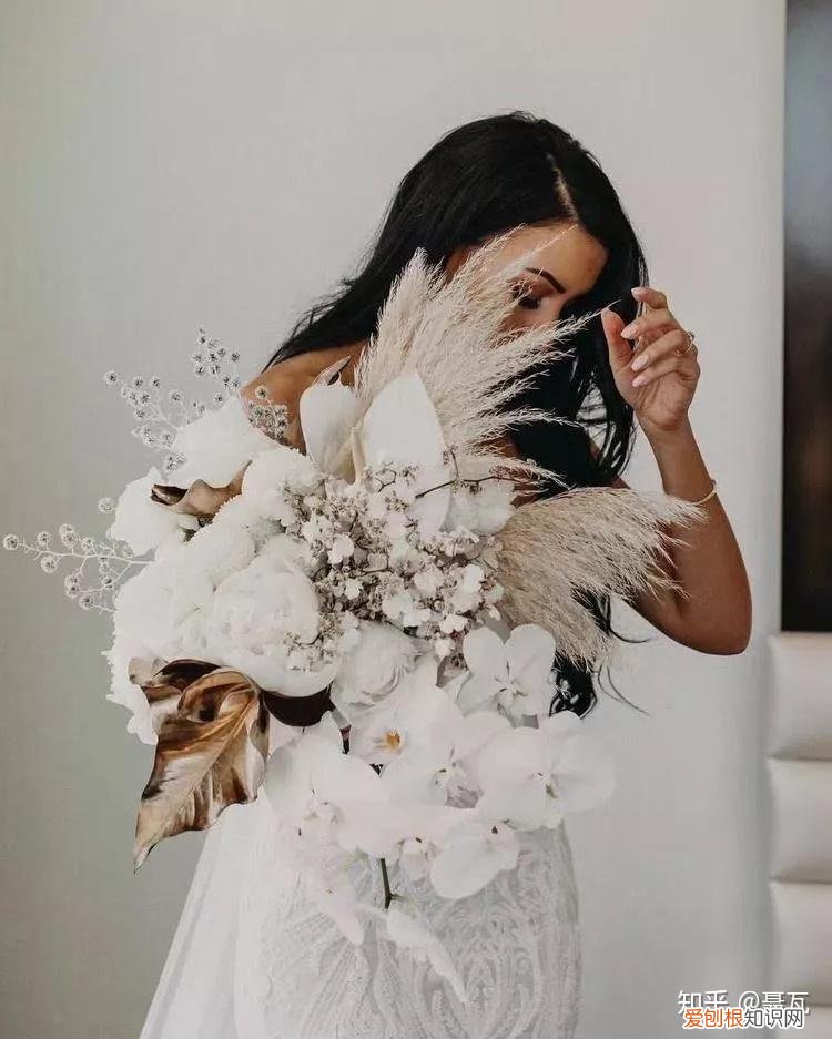 小白买花实操指南 白菜花是蔬菜吗，像买白菜一样买花，像养猪一样养花
