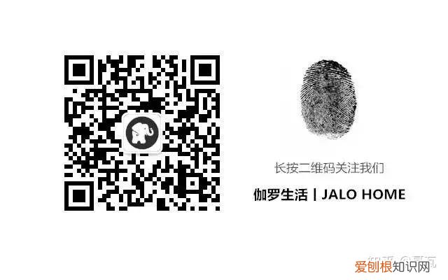 小白买花实操指南 白菜花是蔬菜吗，像买白菜一样买花，像养猪一样养花