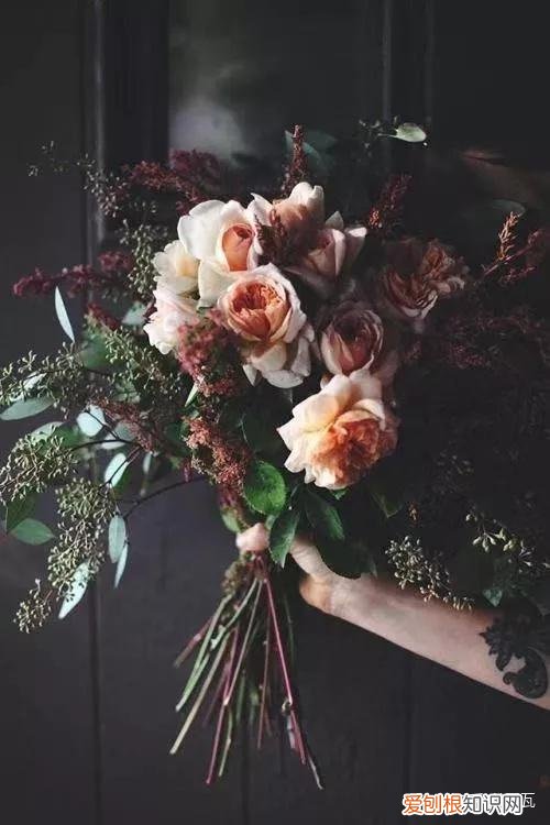 小白买花实操指南 白菜花是蔬菜吗，像买白菜一样买花，像养猪一样养花
