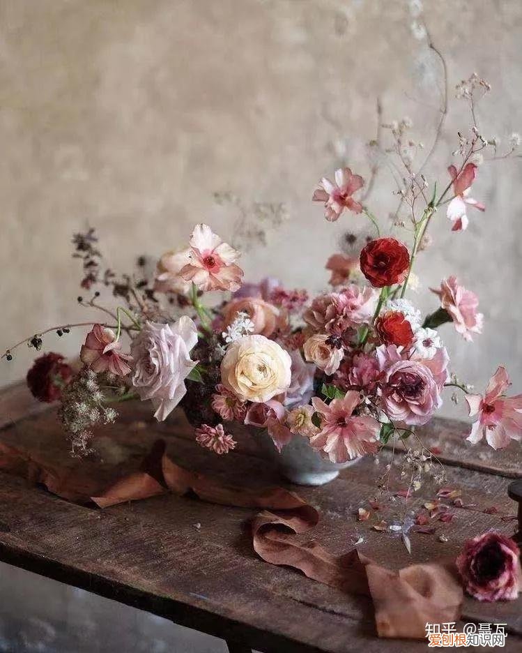 小白买花实操指南 白菜花是蔬菜吗，像买白菜一样买花，像养猪一样养花