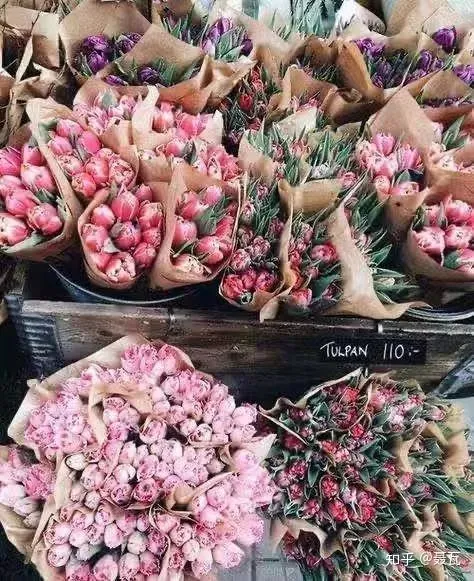 小白买花实操指南 白菜花是蔬菜吗，像买白菜一样买花，像养猪一样养花