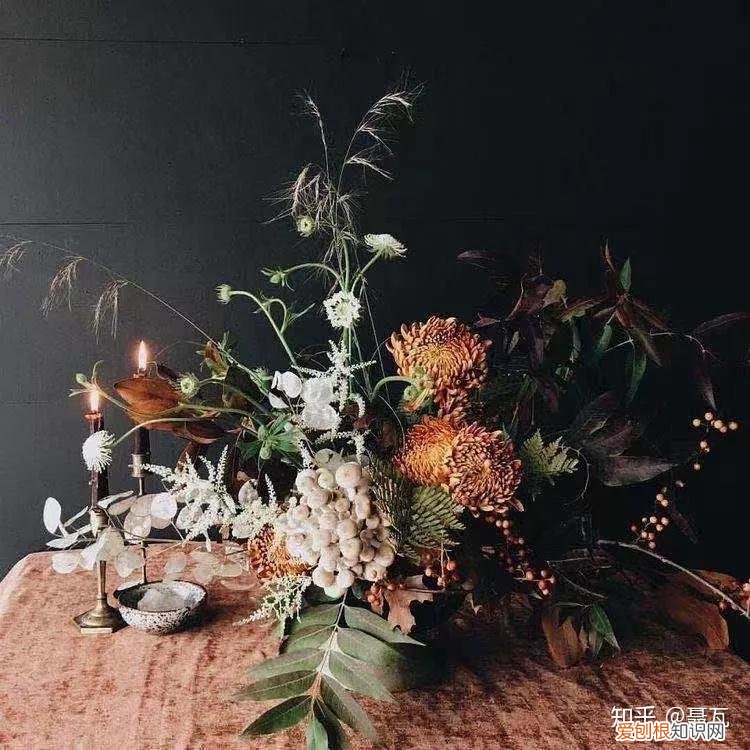 小白买花实操指南 白菜花是蔬菜吗，像买白菜一样买花，像养猪一样养花