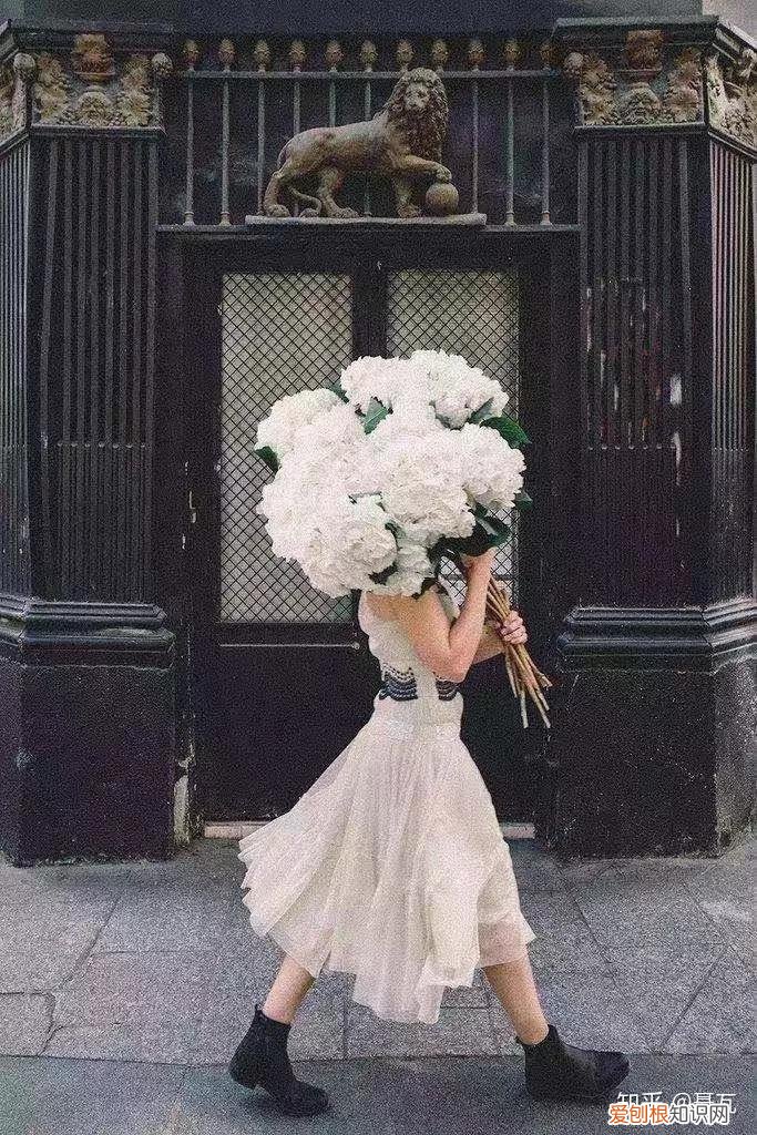 小白买花实操指南 白菜花是蔬菜吗，像买白菜一样买花，像养猪一样养花