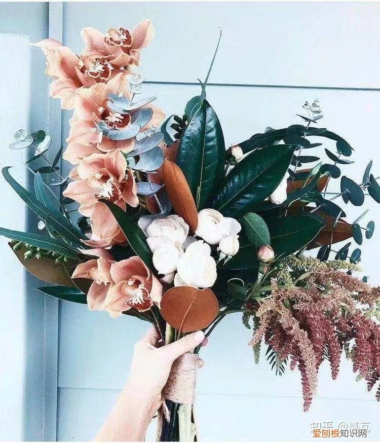 小白买花实操指南 白菜花是蔬菜吗，像买白菜一样买花，像养猪一样养花