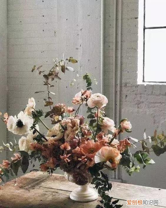 小白买花实操指南 白菜花是蔬菜吗，像买白菜一样买花，像养猪一样养花