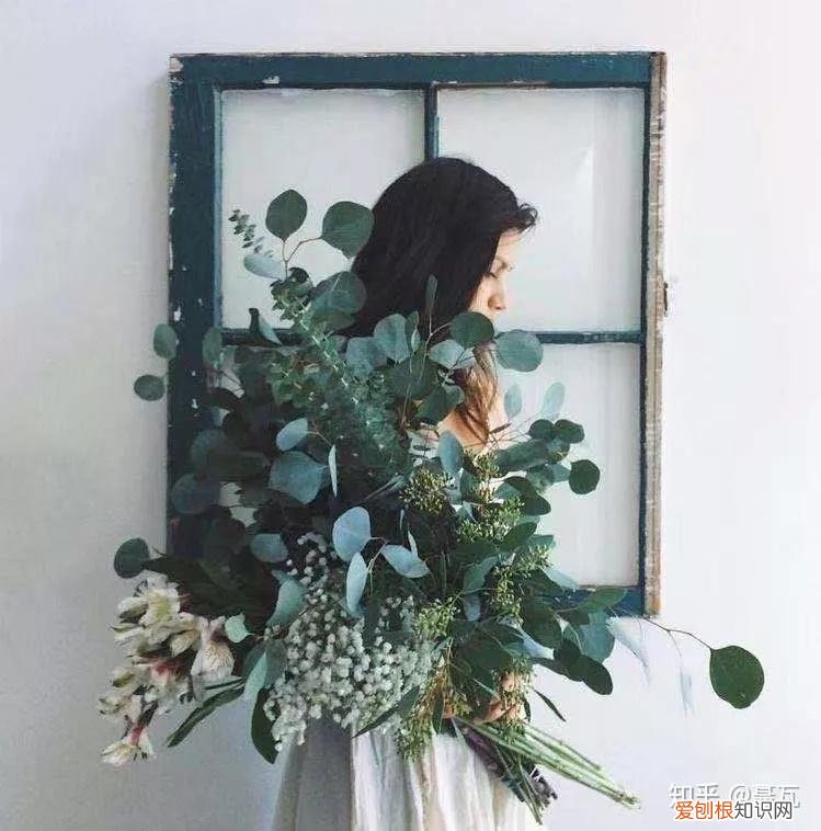 小白买花实操指南 白菜花是蔬菜吗，像买白菜一样买花，像养猪一样养花