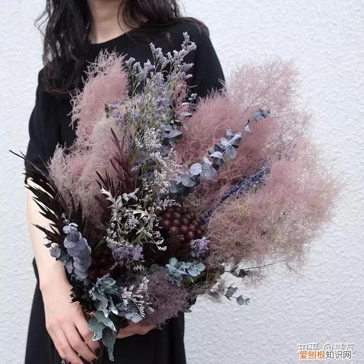 小白买花实操指南 白菜花是蔬菜吗，像买白菜一样买花，像养猪一样养花