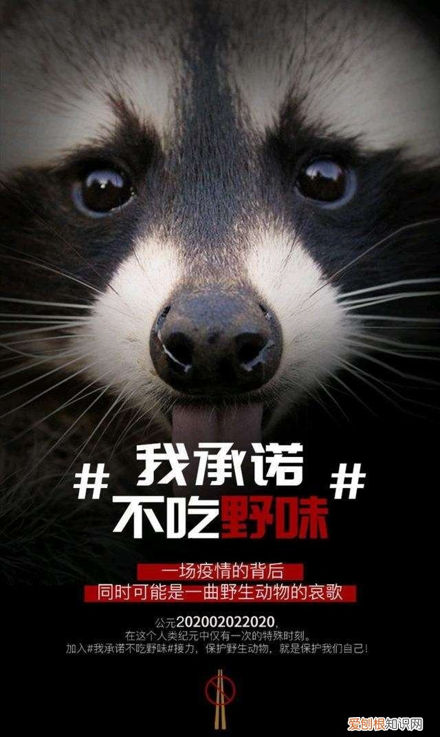 保护野生动物,珍爱野生动物的倡议书300,敬畏自然 珍爱生命——延安保小红军小学保护野生动物倡议书