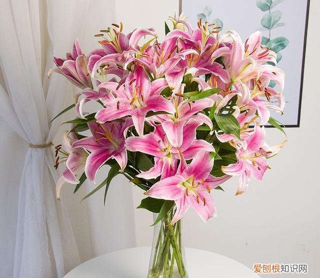 给插鲜花的瓶里加什么能够延长花期，鲜花插“瓶里”，学会4个小技巧，花期延长一周