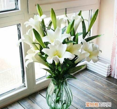 给插鲜花的瓶里加什么能够延长花期，鲜花插“瓶里”，学会4个小技巧，花期延长一周