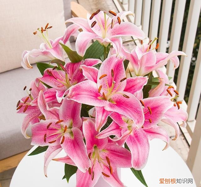 给插鲜花的瓶里加什么能够延长花期，鲜花插“瓶里”，学会4个小技巧，花期延长一周