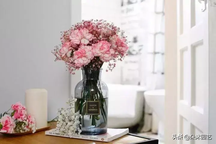 各种花瓶插花技巧,鲜花瓶插花的养护方法之高手篇!