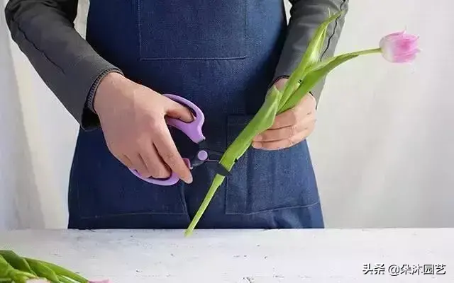 各种花瓶插花技巧,鲜花瓶插花的养护方法之高手篇!