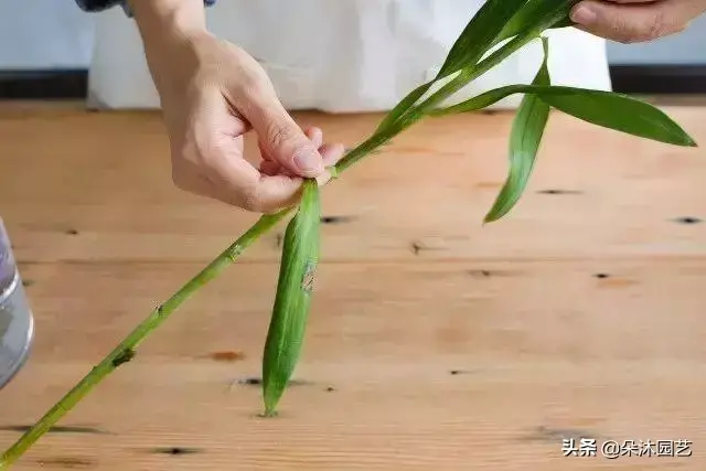 各种花瓶插花技巧,鲜花瓶插花的养护方法之高手篇!