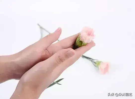 各种花瓶插花技巧,鲜花瓶插花的养护方法之高手篇!