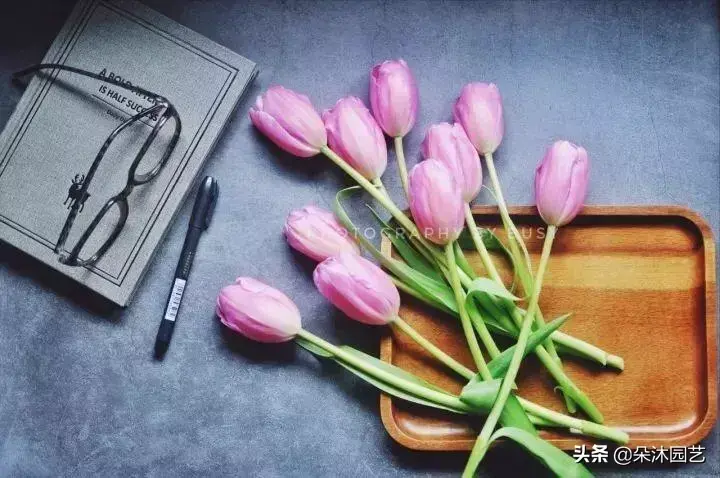 各种花瓶插花技巧,鲜花瓶插花的养护方法之高手篇!