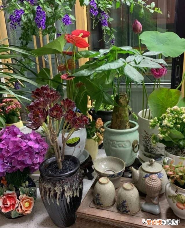 鲜花插花瓶能保存多久，瓶插鲜花保鲜艳，就用这7种方法，花期长不凋谢，花朵鲜艳闻花香