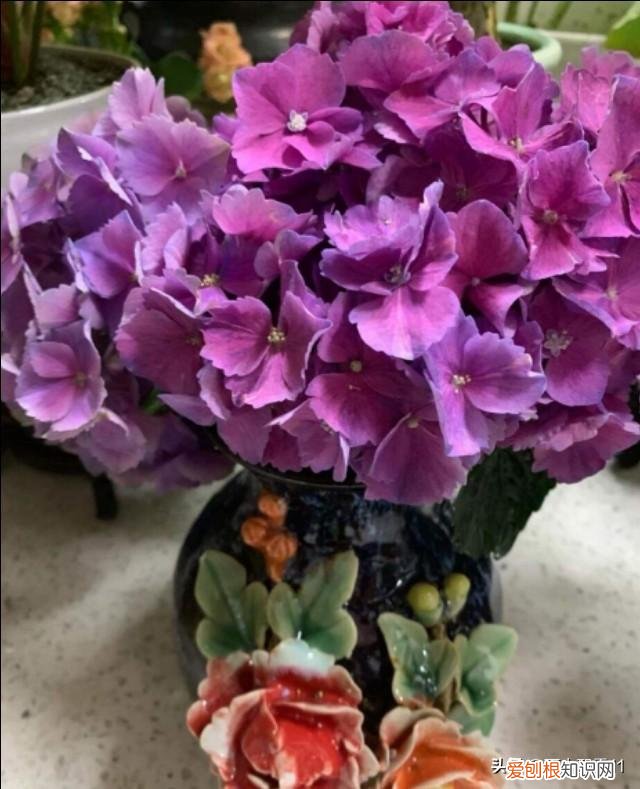 鲜花插花瓶能保存多久，瓶插鲜花保鲜艳，就用这7种方法，花期长不凋谢，花朵鲜艳闻花香