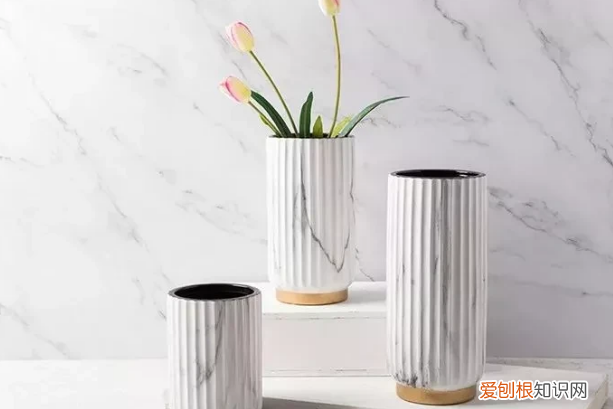 传统插花的六大容器，插花：不会挑合适的容器？按照这些要求选花瓶，养花方便又美观