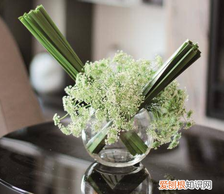 传统插花的六大容器，插花：不会挑合适的容器？按照这些要求选花瓶，养花方便又美观