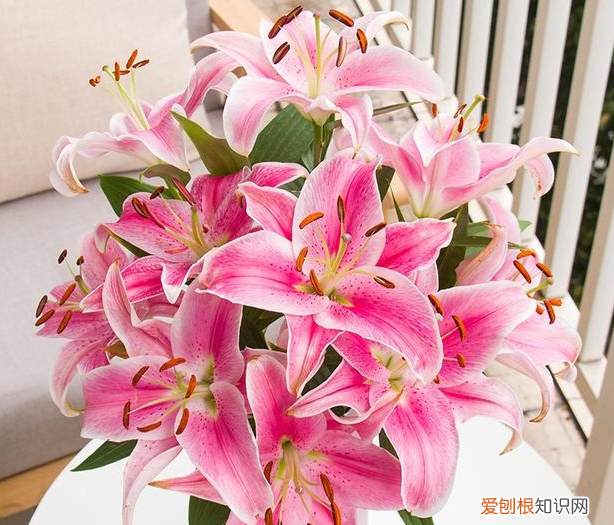 传统插花的六大容器，插花：不会挑合适的容器？按照这些要求选花瓶，养花方便又美观