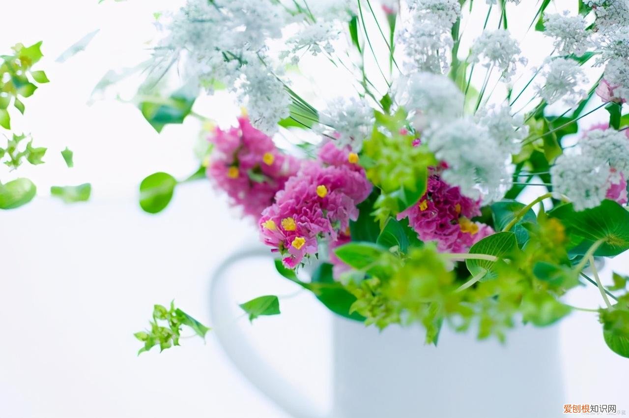 使鲜花在花瓶中保持更长时间，采摘的花插进花瓶，6个方法延长凋谢时间，还能保持鲜艳的花色