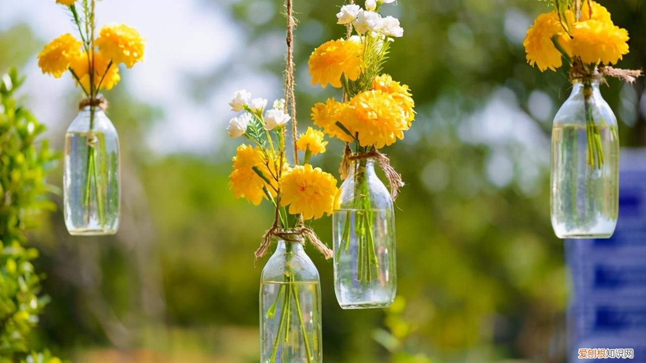 使鲜花在花瓶中保持更长时间，采摘的花插进花瓶，6个方法延长凋谢时间，还能保持鲜艳的花色