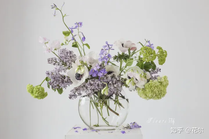 花瓶插花艺术，插花设计｜瓶插花养护技巧，给你的家里增添生机满分！
