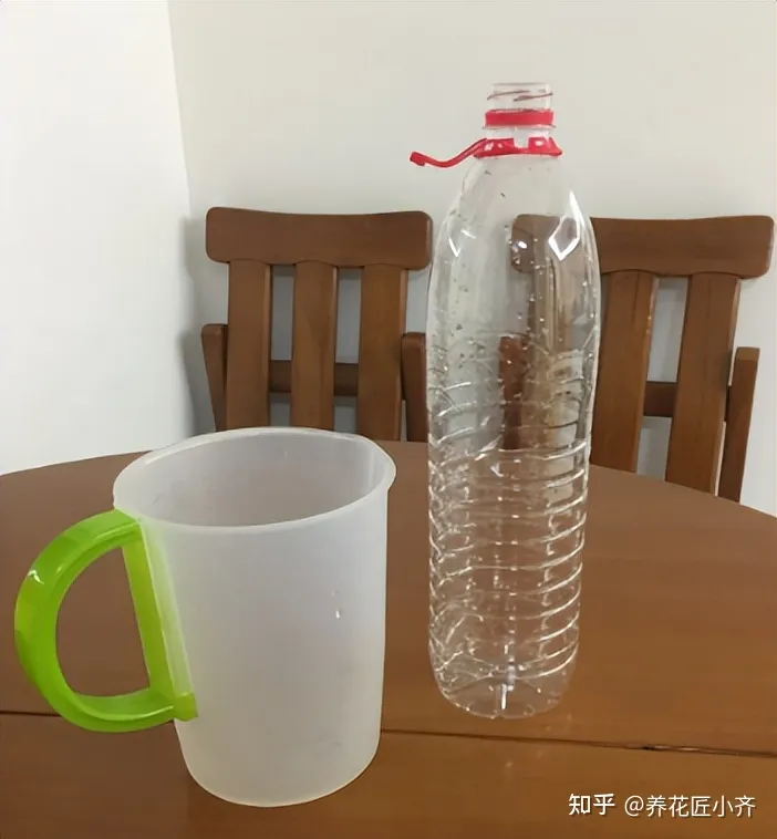 矿泉水瓶子养花图片欣赏,矿泉水喝完别扔,养花“瓶子”有5个妙用,看看你“发掘”了几个