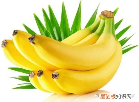 什么软件可以了解生活常识,有什么生活小常识?
