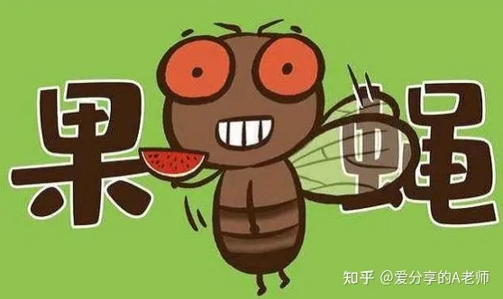 什么软件可以了解生活常识,有什么生活小常识?
