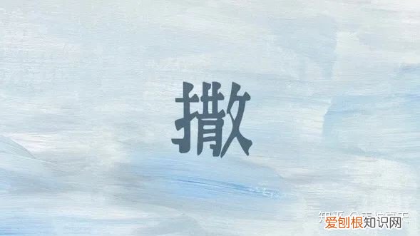 室内花瓶插花,【花艺实验室 Vol.2】花瓶插花小技巧 — 1~2种花材也能插的很好看