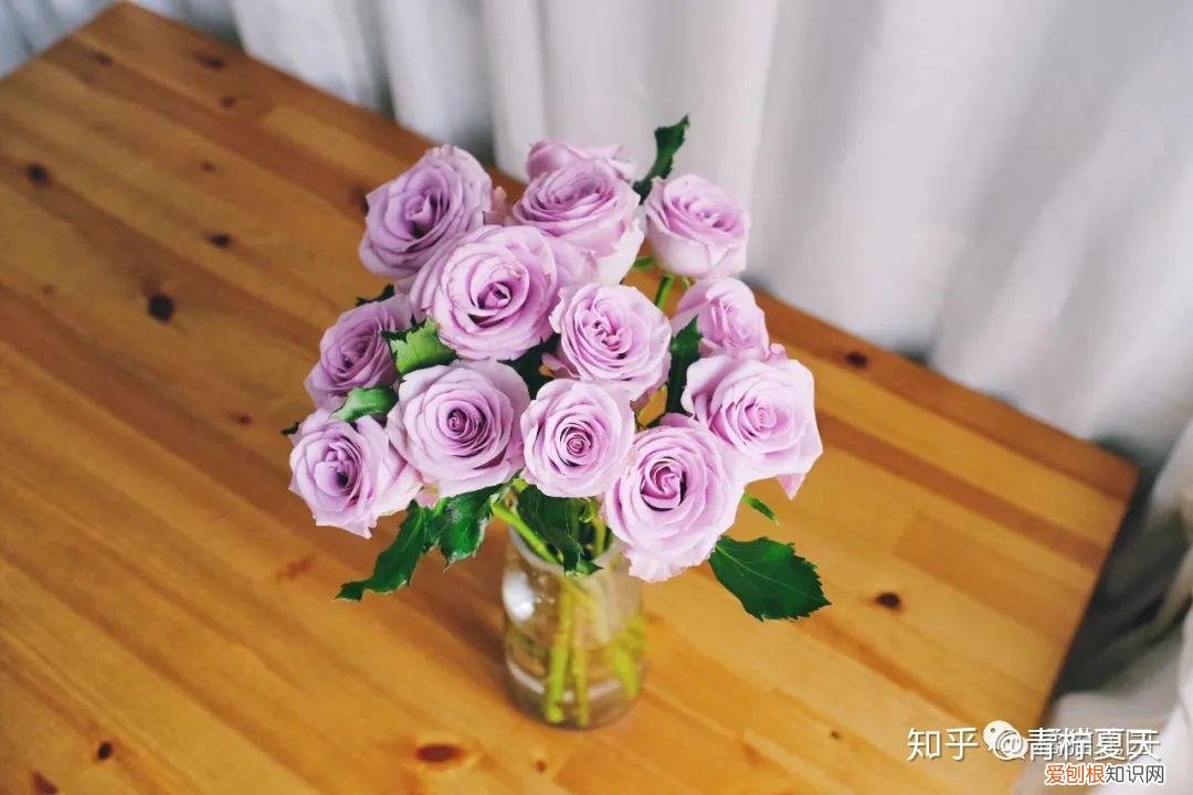 室内花瓶插花,【花艺实验室 Vol.2】花瓶插花小技巧 — 1~2种花材也能插的很好看