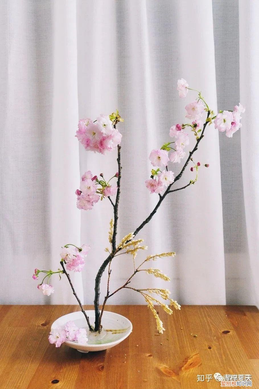 室内花瓶插花,【花艺实验室 Vol.2】花瓶插花小技巧 — 1~2种花材也能插的很好看