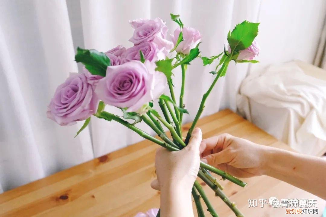 室内花瓶插花,【花艺实验室 Vol.2】花瓶插花小技巧 — 1~2种花材也能插的很好看